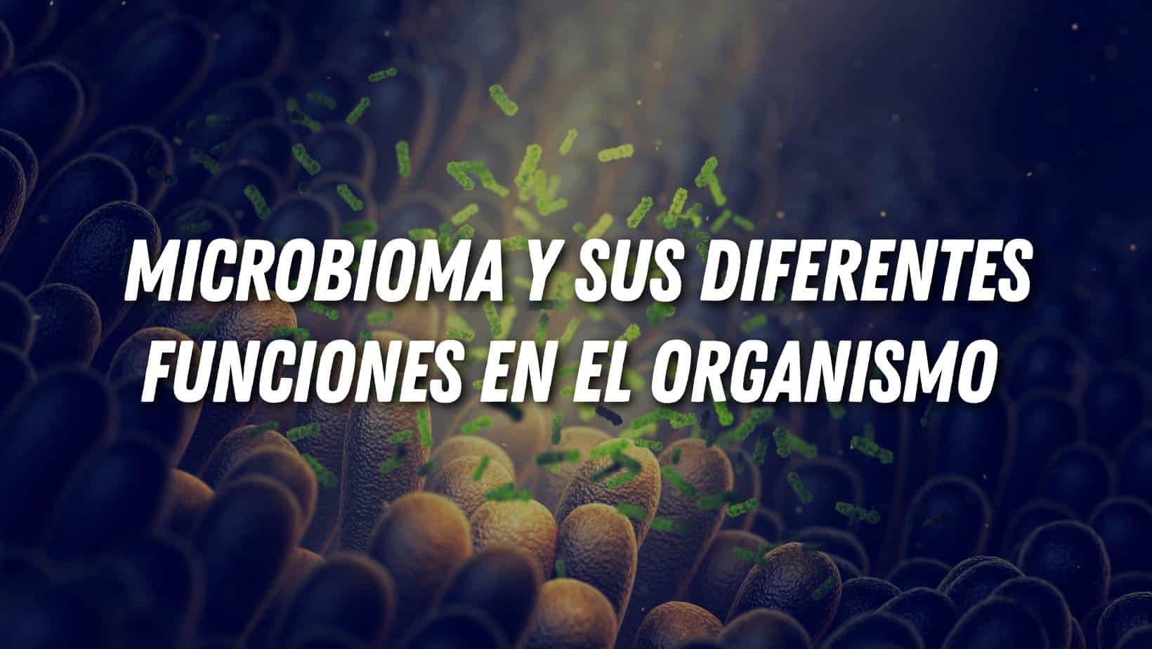 Microbioma Y Sus Diferentes Funciones En El Organismo - Sportnomics